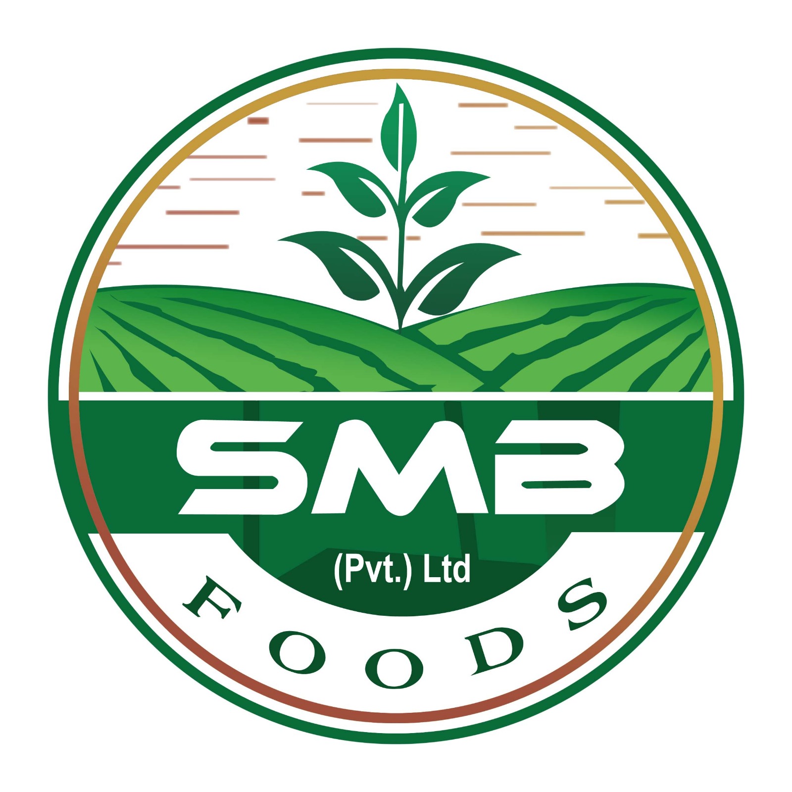 smbfoodspvtltd.com